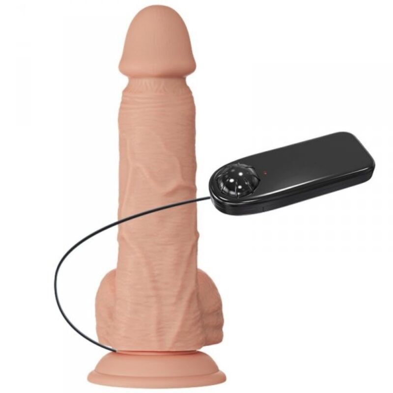 Schöne Begegnung Bahamut Vibration – Natur – 21,8 cm – Bild 3