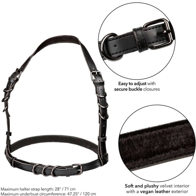 Euphoria Plus Size Halter Buckle Harness – Schwarz – Bild 5