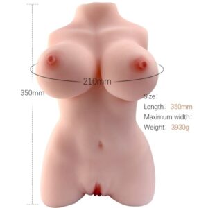 Weiblicher Torso – Modell 3