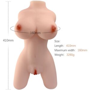 Weiblicher Torso – Modell 4
