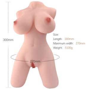 Weiblicher Torso – Modell 5