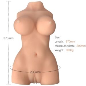Weiblicher Torso – Modell 7