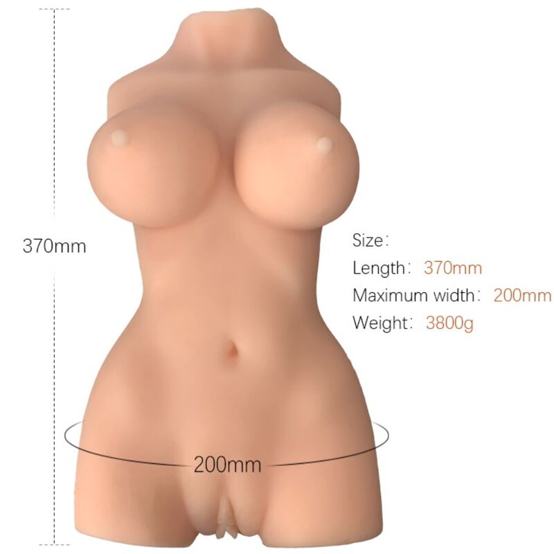 Weiblicher Torso – Modell 7