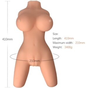 Weiblicher Torso – Modell 8