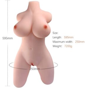 Weiblicher Torso – Modell 2