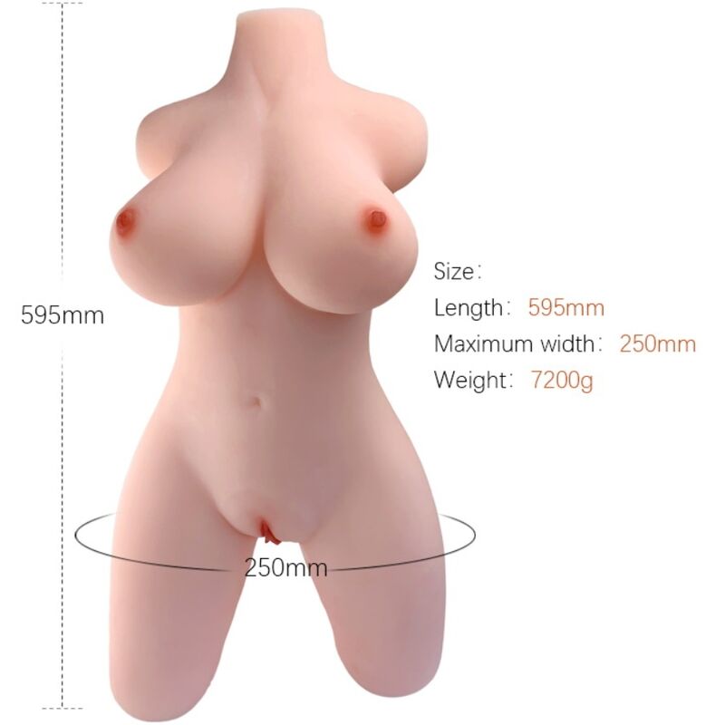 Weiblicher Torso – Modell 2