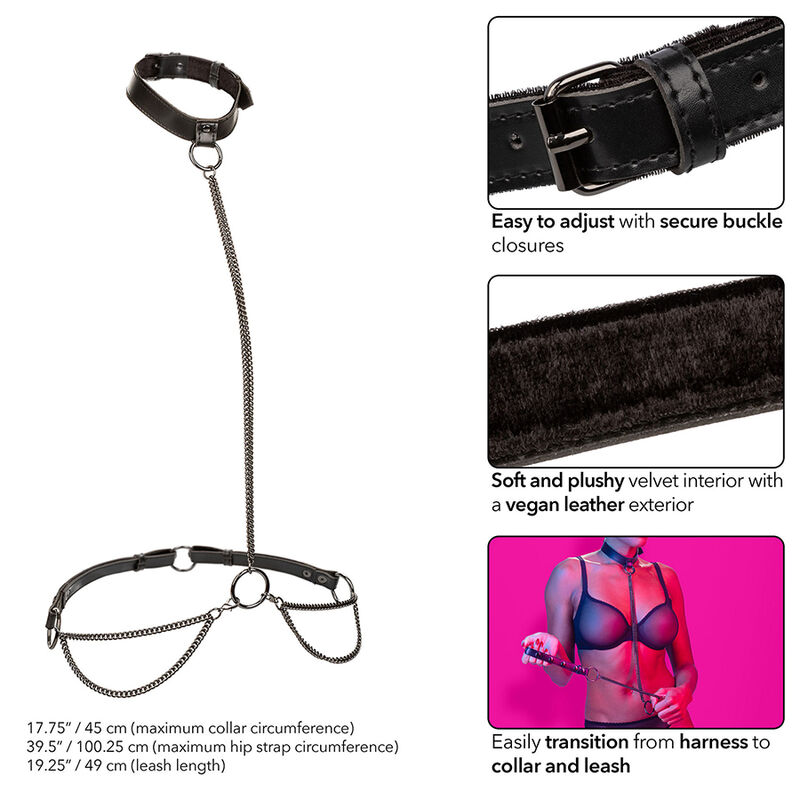 Euphoria Kettenhalfterhalsband und Leine – Bild 3