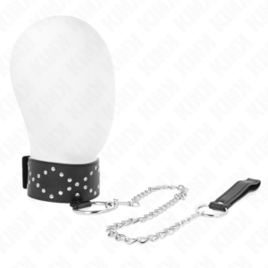 Halsband mit Leine, mit Nieten – Modell 3 – Silber – verstellbar – 36–43 cm × 5 cm