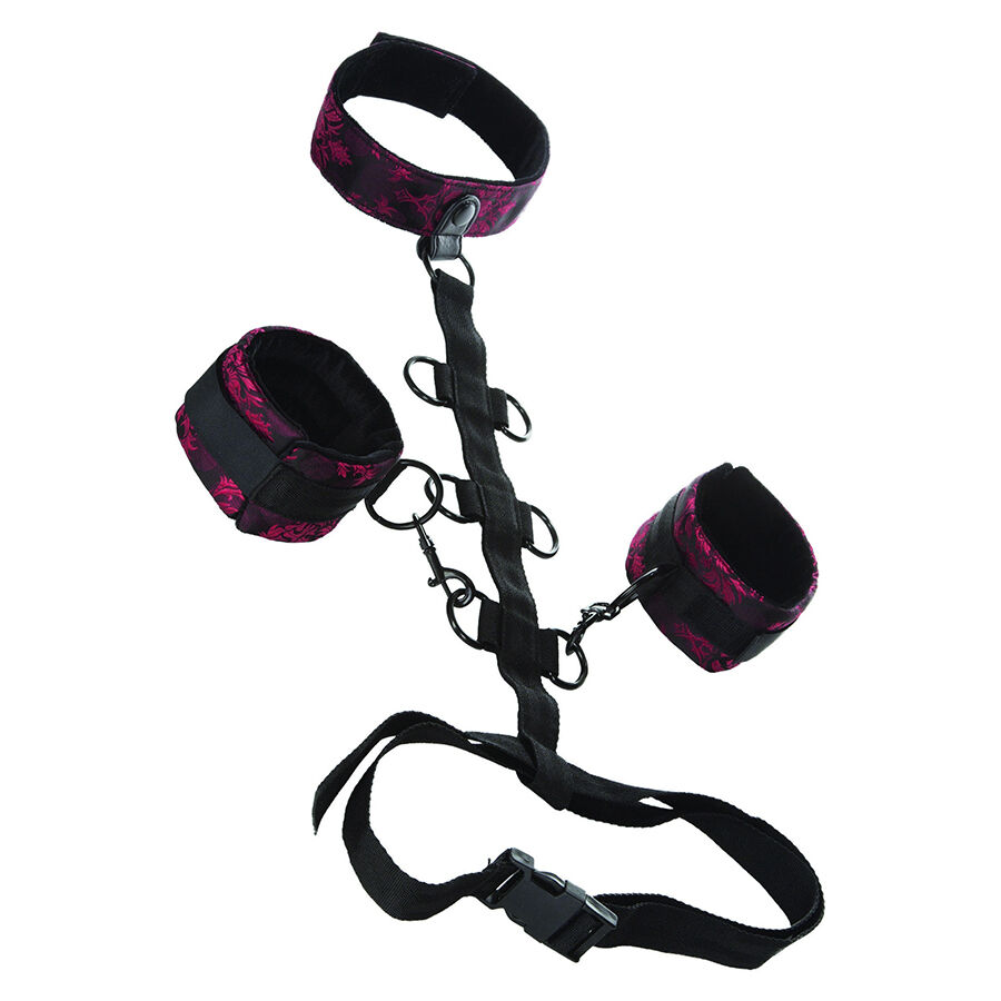 Scandal – Körperfessel mit Halsband