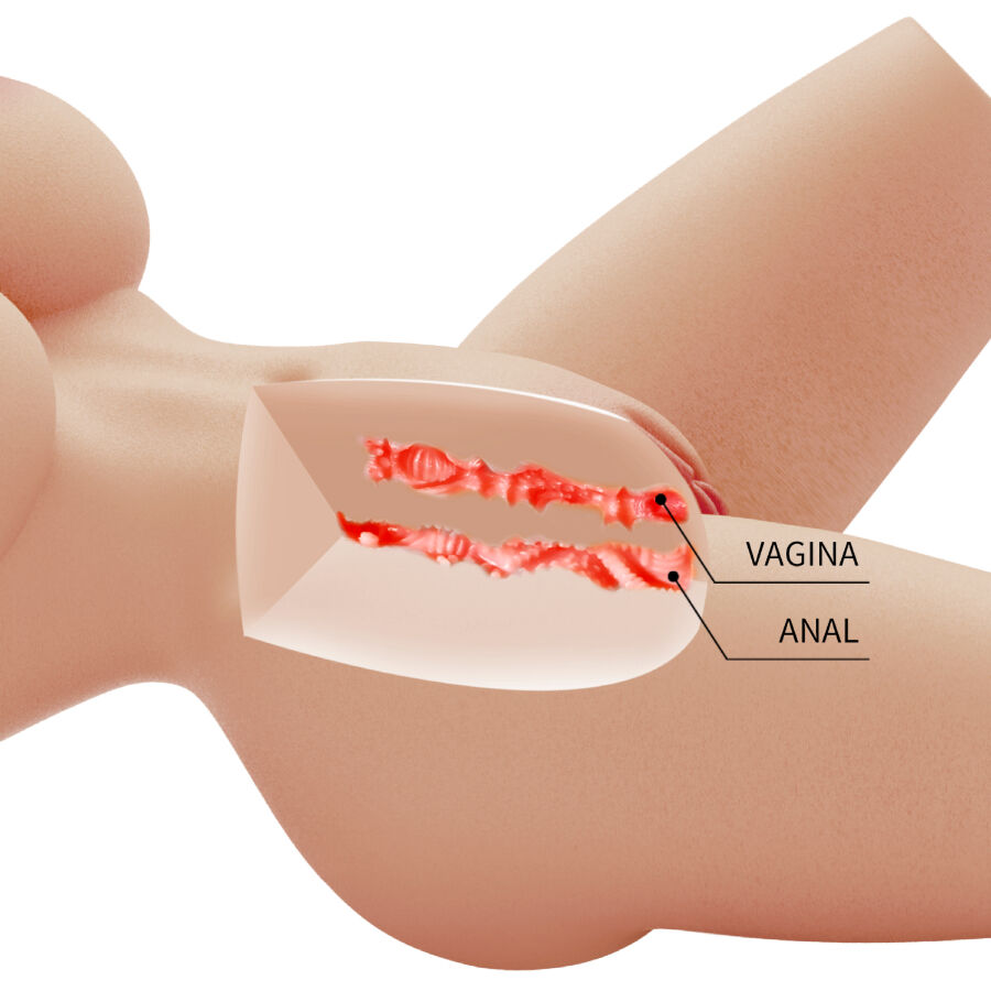 Lily – Realistischer Torso mit Vagina- und Analöffnung – 4 kg – Bild 7
