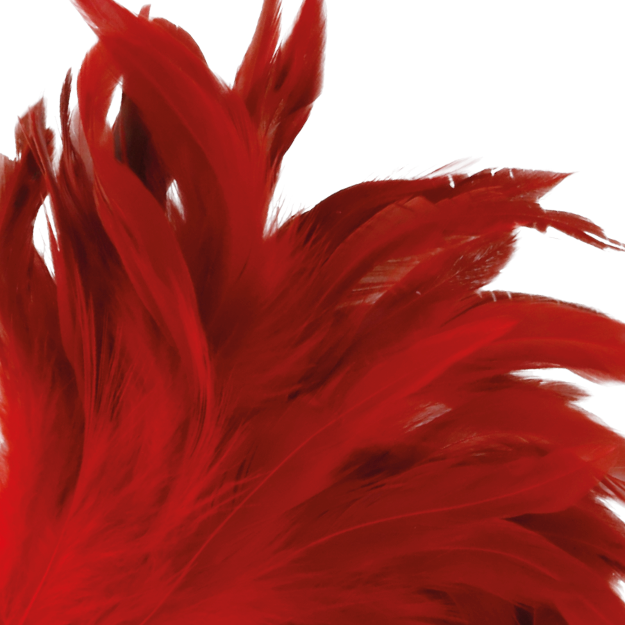 Roter Stimulationsstift – 24 cm – Bild 2