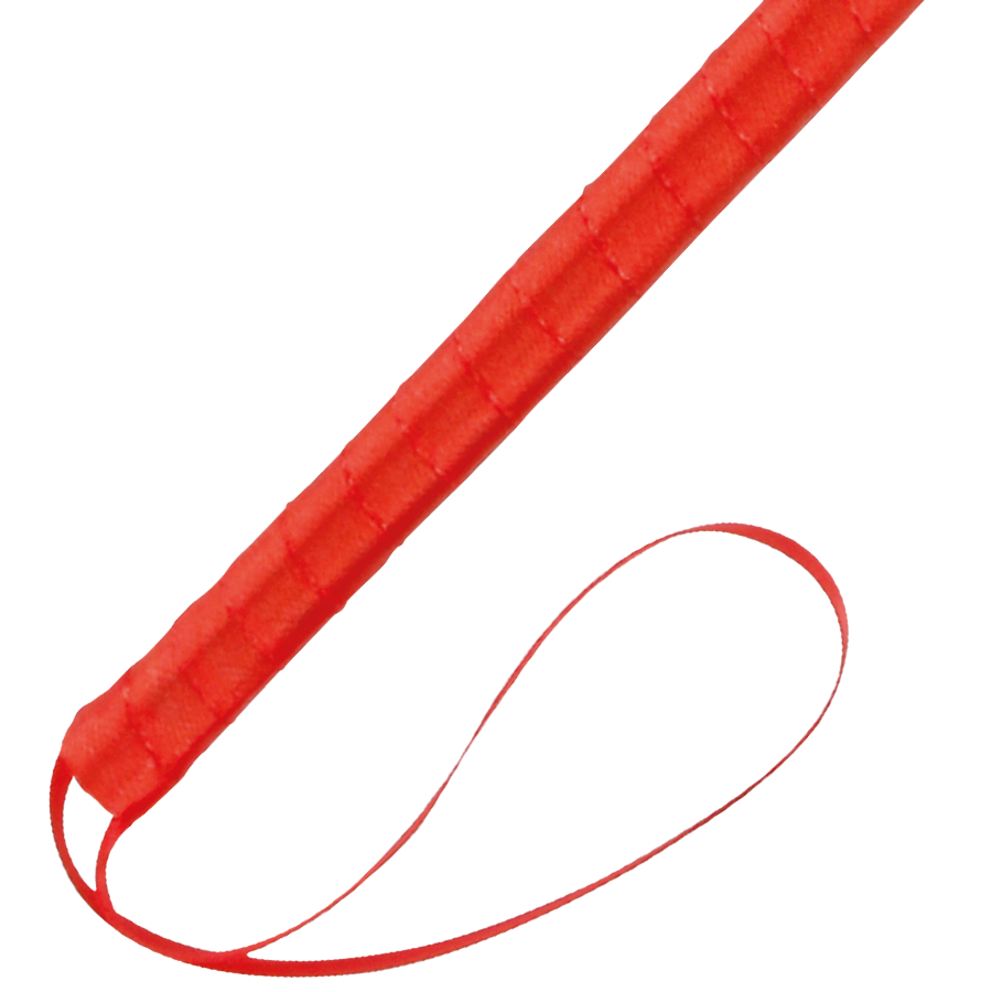 Roter Stimulationsstift – 24 cm – Bild 4